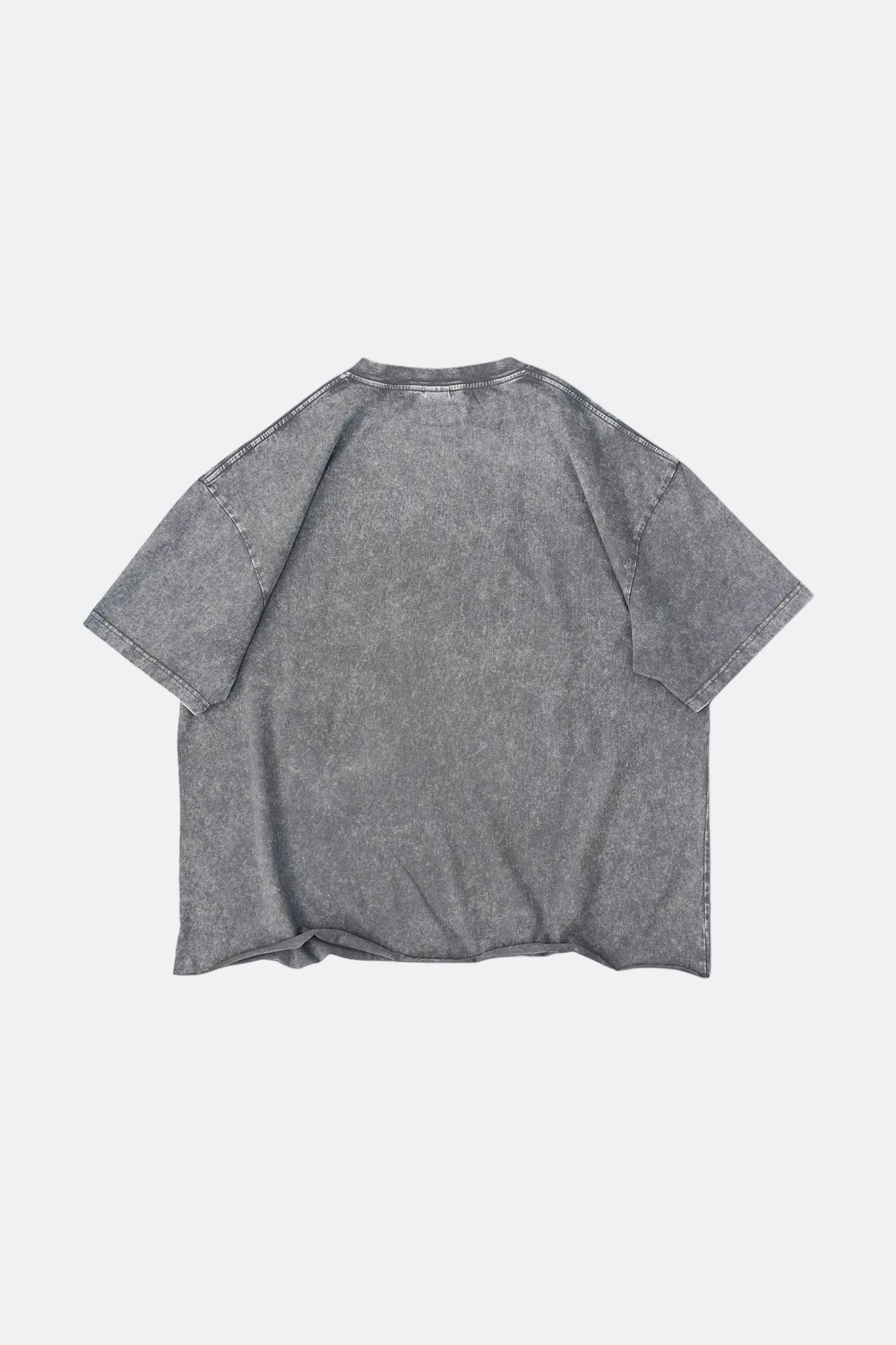 CLUB STUBBORN X OLDSOILISM THE LUCKY CRANE TEE/ WASHED GREY