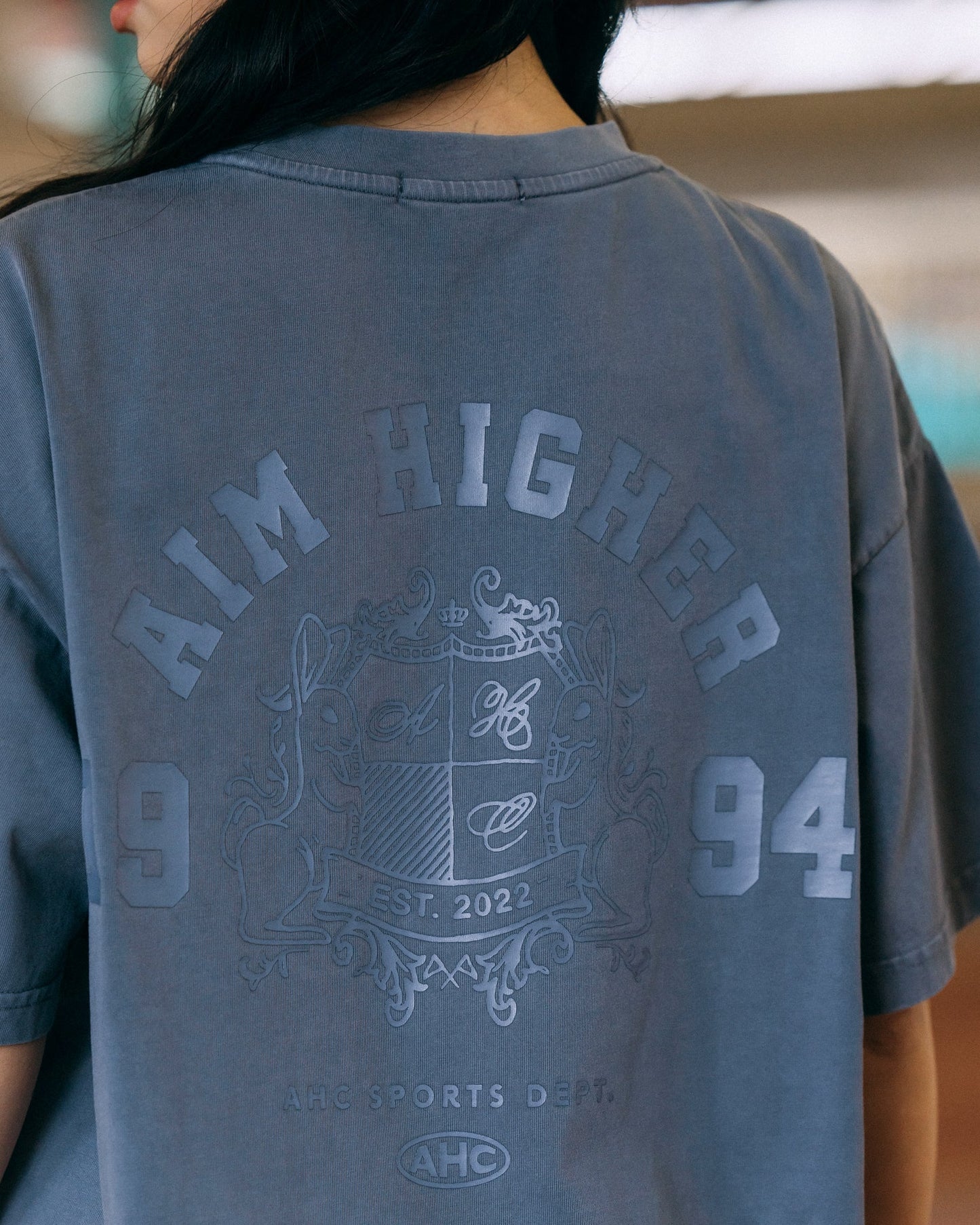 Aim Higher Club College Emblem Unisex Tee / Wash Light Charcoal - GROGROCERY