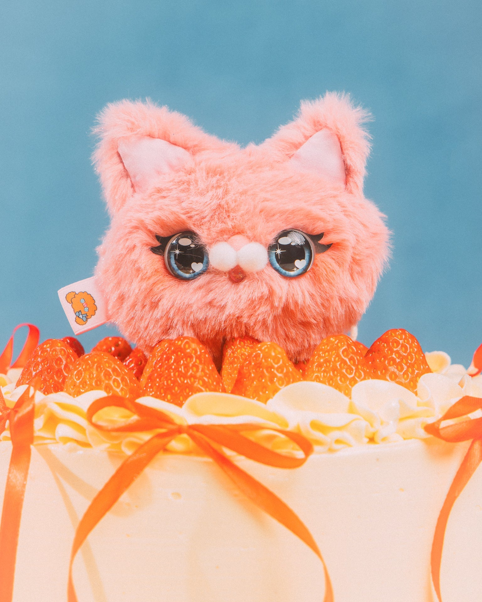 GROCERY x GRRRR PET CAT HEAD/ RASPBERRY - GROGROCERY