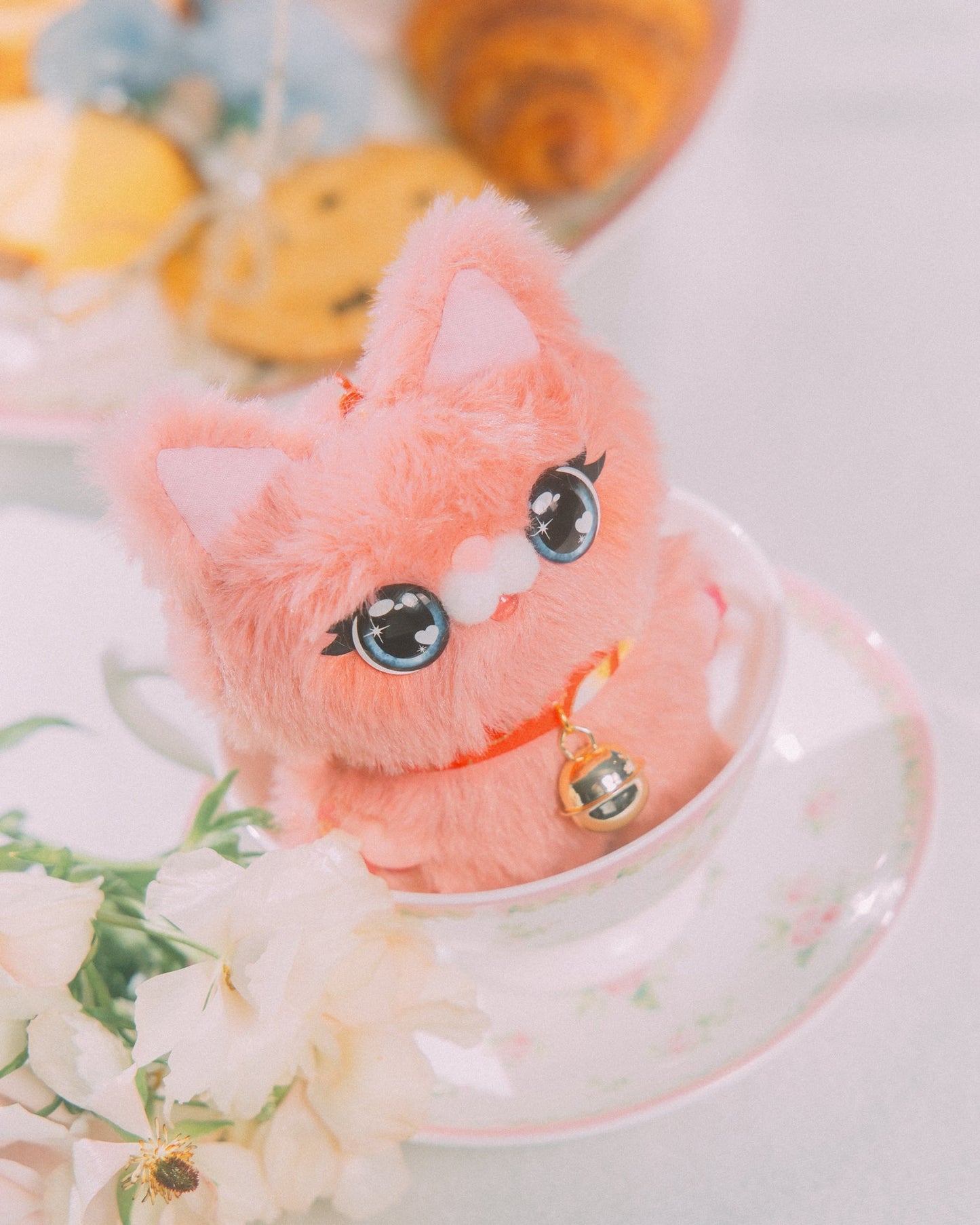 GROCERY x GRRRR PET CAT/ RASPBERRY - GROGROCERY