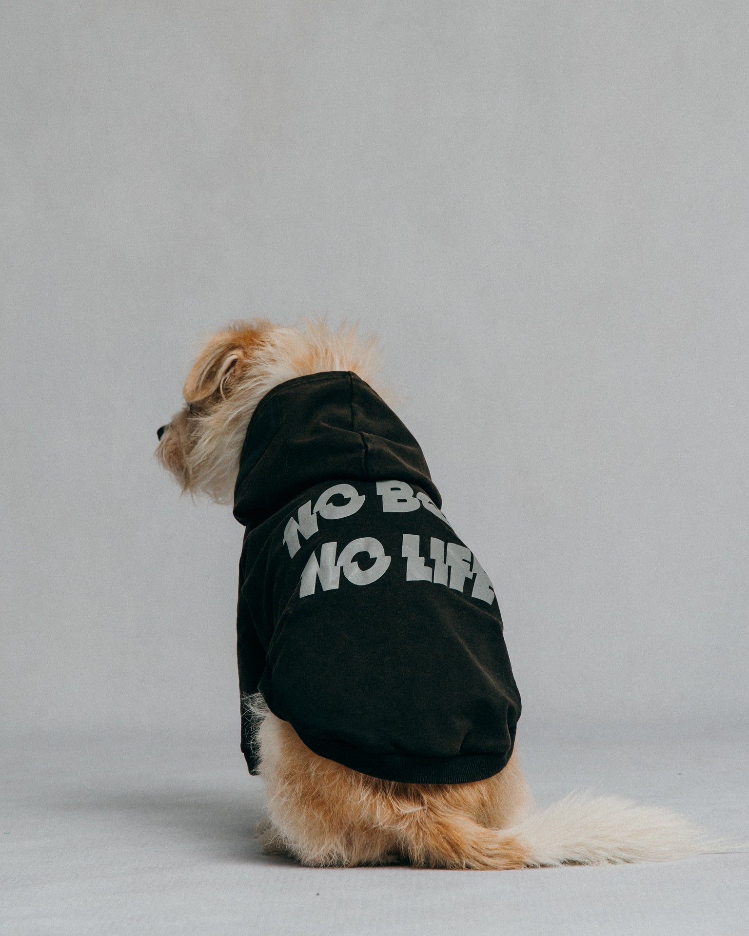 GROCERY x NO BOO NO LIFE PET WASHED HOODIE/ WASHED BLACK - GROGROCERY