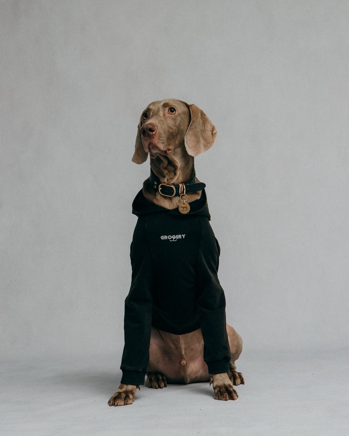 GROCERY x NO BOO NO LIFE PET WASHED HOODIE/ WASHED BLACK - GROGROCERY