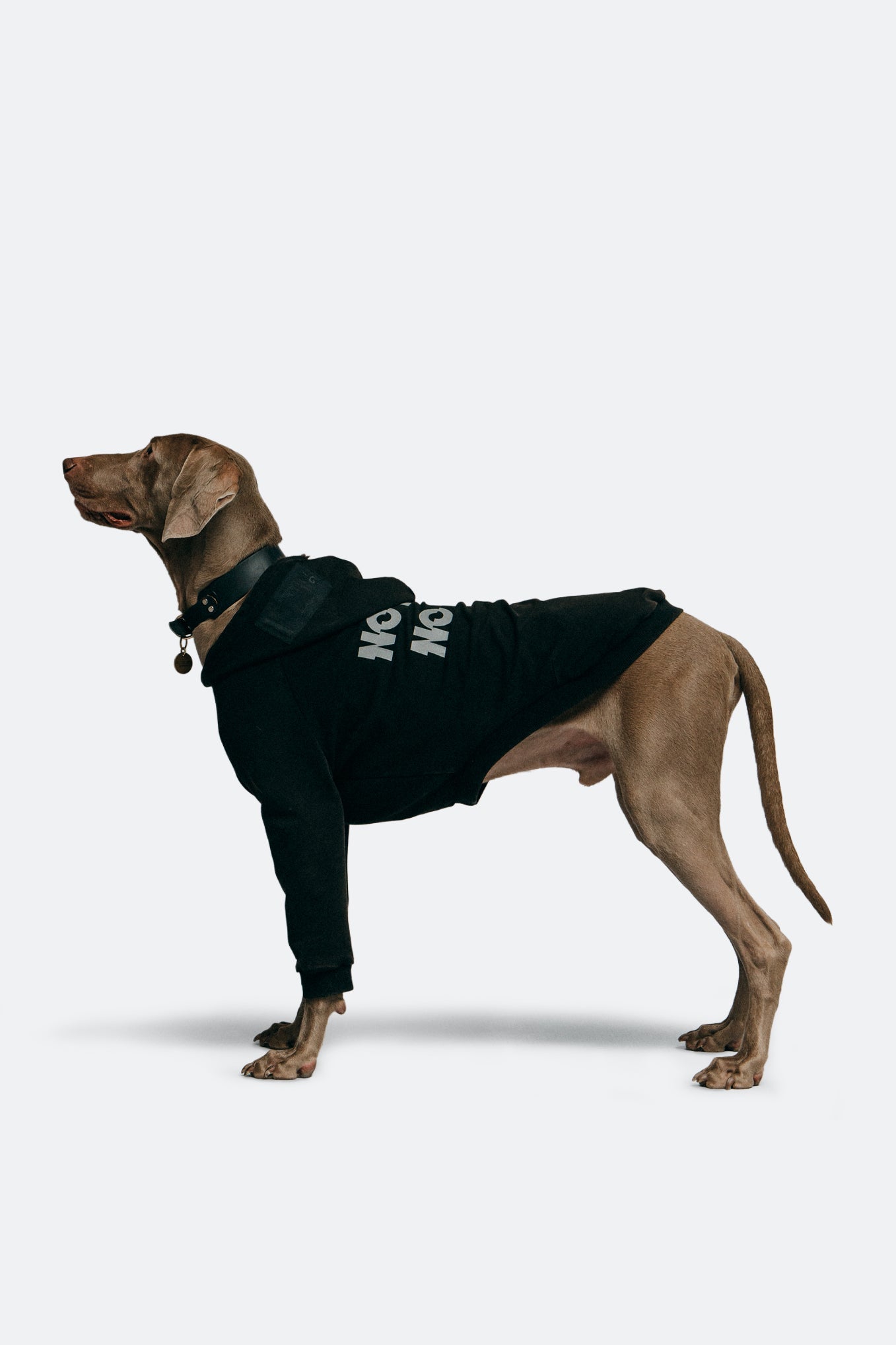 GROCERY x NO BOO NO LIFE PET WASHED HOODIE/ WASHED BLACK - GROGROCERY