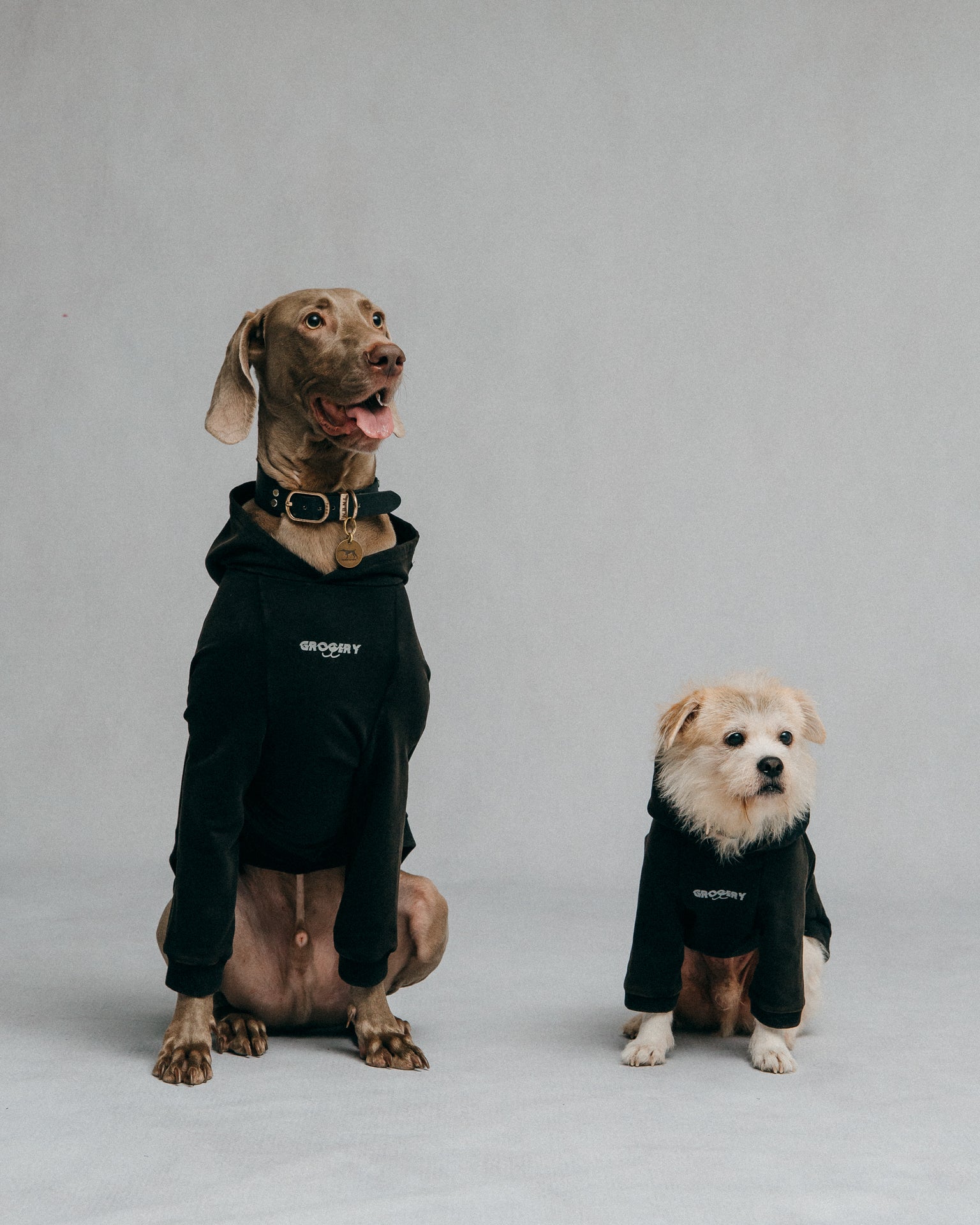 GROCERY x NO BOO NO LIFE PET WASHED HOODIE/ WASHED BLACK - GROGROCERY